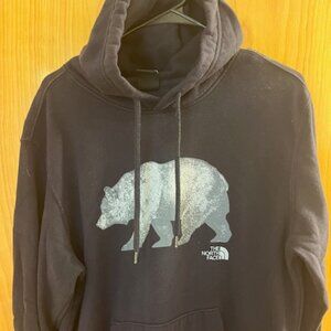 The North Face Mens Graphic Pullover Hoodie Navy